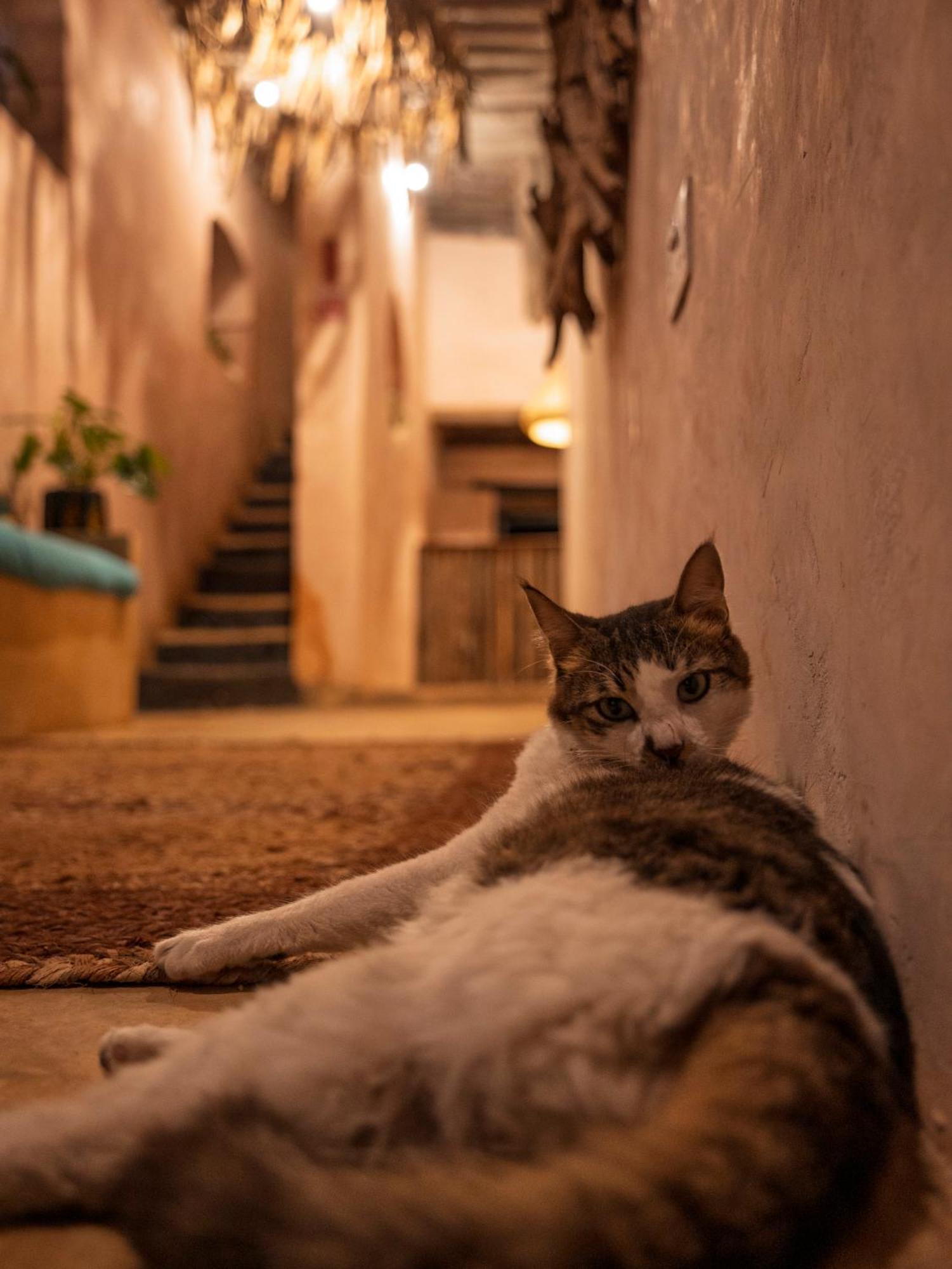 Firefly Boutique Hotel Zanzibár Kültér fotó